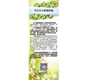 小兒陰囊腫痛發(fā)病急、病因多 及時診治避免睪丸扭轉