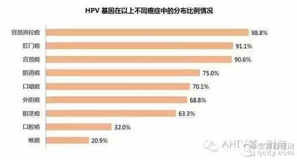 等了10年!宮頸癌疫苗終于要在內地上市,就在明年年初!轉給身邊所有的女性!